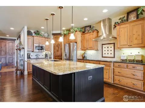 6695 Murano Dr, Windsor, CO 80550 photo 14