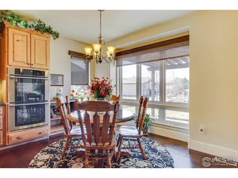 6695 Murano Dr, Windsor, CO 80550 photo 17