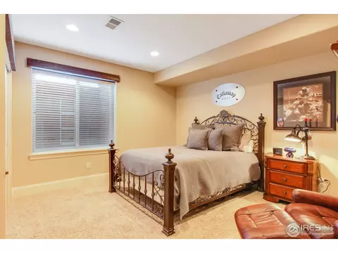 6695 Murano Dr, Windsor, CO 80550 photo 32