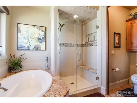 6695 Murano Dr, Windsor, CO 80550 photo 25