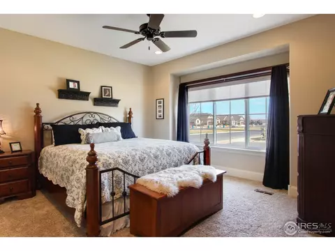 6695 Murano Dr, Windsor, CO 80550 photo 19