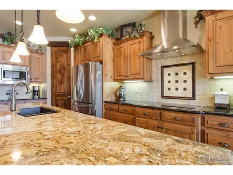 6695 Murano Dr, Windsor, CO 80550 photo 11