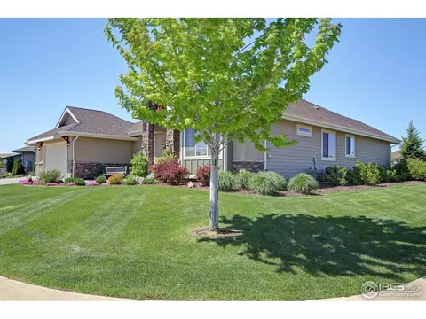 6695 Murano Dr, Windsor, CO 80550 photo 4