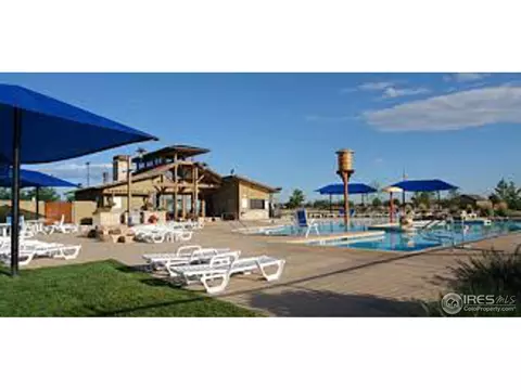 6695 Murano Dr, Windsor, CO 80550 photo 40