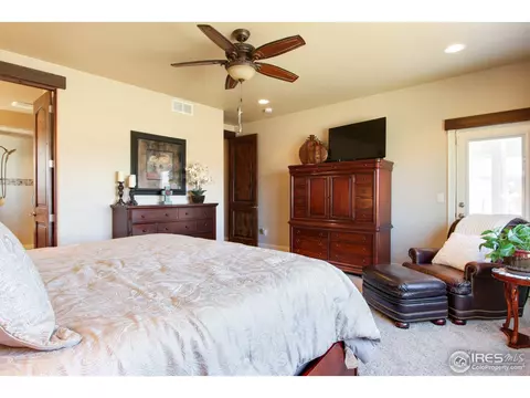 6695 Murano Dr, Windsor, CO 80550 photo 23