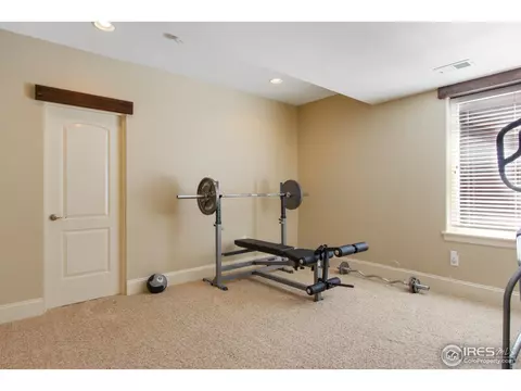 6695 Murano Dr, Windsor, CO 80550 photo 31