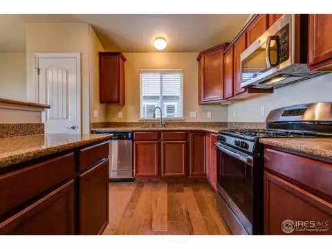 5817 Maidenhead Dr, Windsor, CO 80550 photo 3
