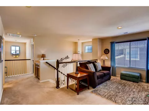 6845 Rock River Rd, Timnath, CO 80547 photo 23