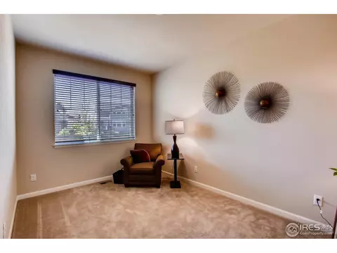 6845 Rock River Rd, Timnath, CO 80547 photo 15