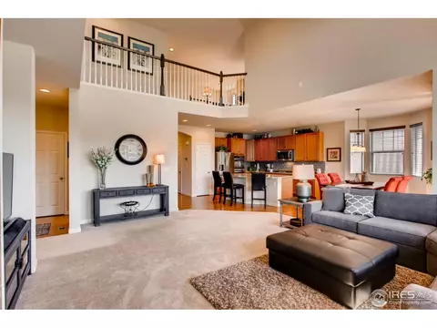 6845 Rock River Rd, Timnath, CO 80547 photo 11