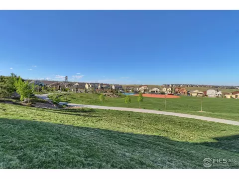 8635 Torrey St, Arvada, CO 80007 photo 25
