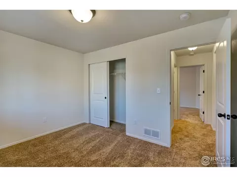 941 Mt Shavano Ave, Severance, CO 80550 photo 23
