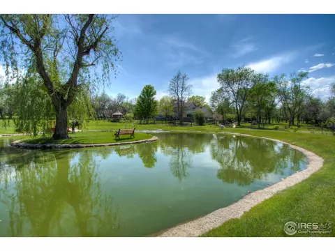 1916 Riverview Dr, Berthoud, CO 80513 photo 32