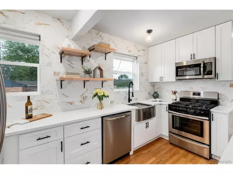 2928 Eudora St, Denver, CO 80207 photo 17