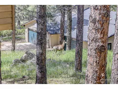 175 Alder Ln, Boulder, CO 80304 photo 4