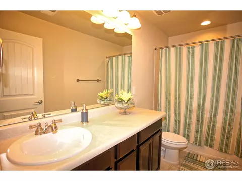 1549 E 166th Ct, Thornton, CO 80602 photo 19