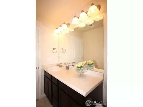 1549 E 166th Ct, Thornton, CO 80602 photo 18