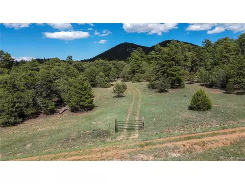 48 Pine Dr, Cotopaxi, CO 81223 photo 4
