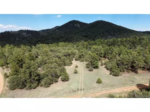 48 Pine Dr, Cotopaxi, CO 81223 photo 3