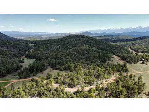 48 Pine Dr, Cotopaxi, CO 81223 photo 2