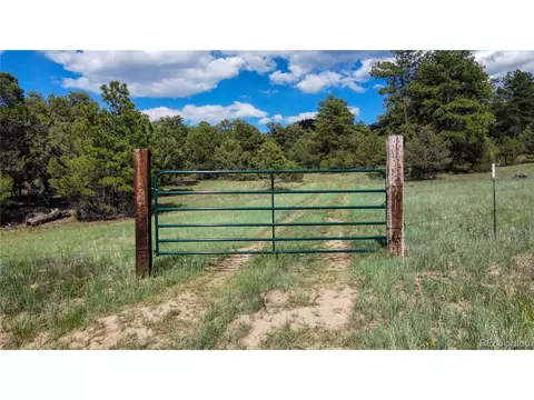 48 Pine Dr, Cotopaxi, CO 81223 photo 5