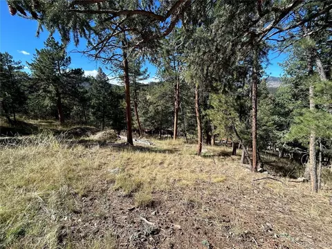 0 Pine Rd, Evergreen, CO 80439 photo 3