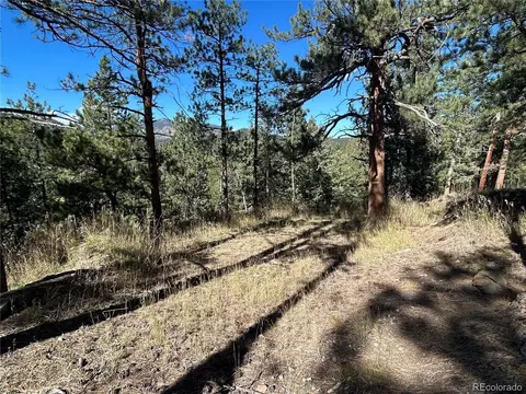 0 Pine Rd, Evergreen, CO 80439 photo 8