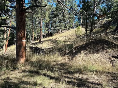 0 Pine Rd, Evergreen, CO 80439 photo 4