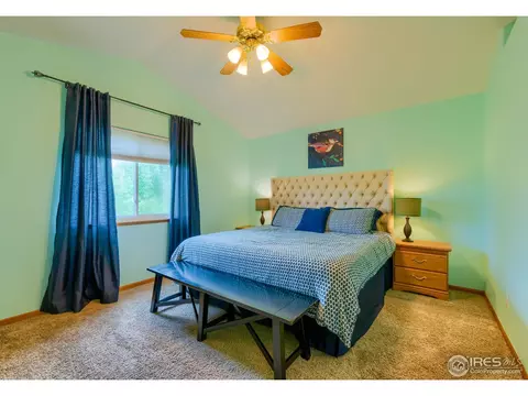 1108 Valley Pl, Windsor, CO 80550 photo 12