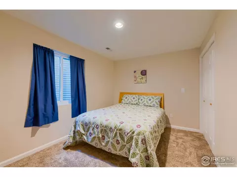 1108 Valley Pl, Windsor, CO 80550 photo 17