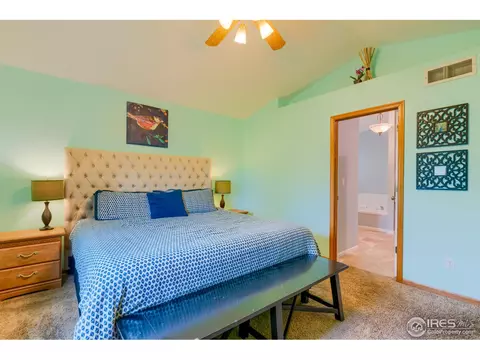 1108 Valley Pl, Windsor, CO 80550 photo 13