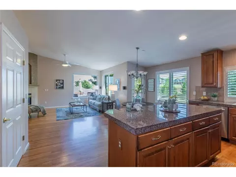 7187 Leopard Gate, Lone Tree, CO 80124 photo 7