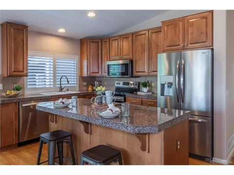 7187 Leopard Gate, Lone Tree, CO 80124 photo 8