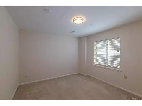 7187 Leopard Gate, Lone Tree, CO 80124 photo 29