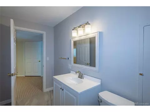 7187 Leopard Gate, Lone Tree, CO 80124 photo 32