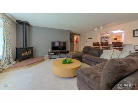 313 E 5th Ave, Longmont, CO 80504 photo 15