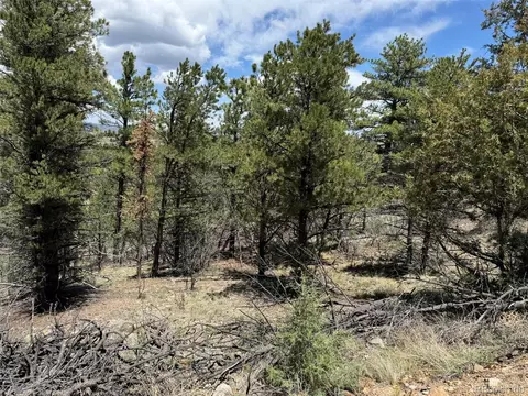 tbd 33rd, Cotopaxi, CO 81223 photo 4