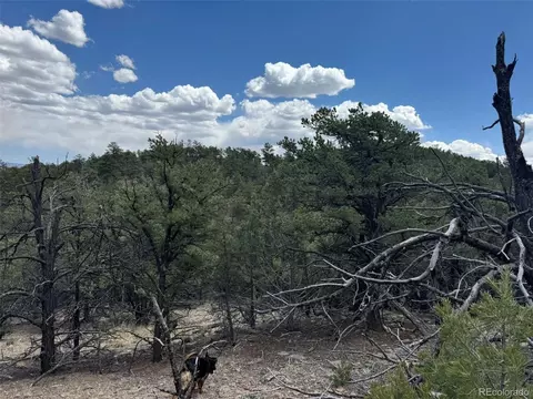 tbd 33rd, Cotopaxi, CO 81223 photo 6