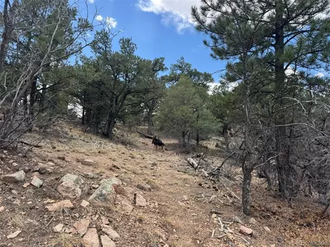 tbd 33rd, Cotopaxi, CO 81223 photo 14