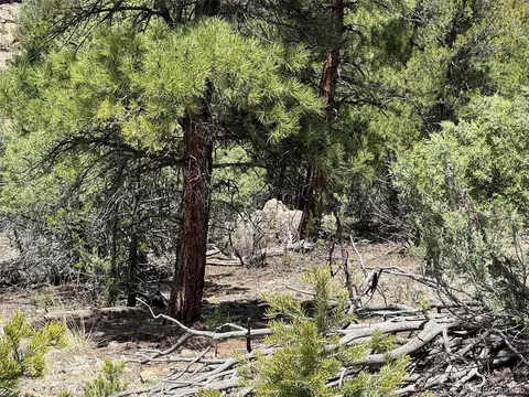 tbd 33rd, Cotopaxi, CO 81223 photo 15