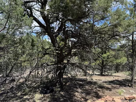 tbd 33rd, Cotopaxi, CO 81223 photo 2