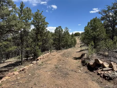tbd 33rd, Cotopaxi, CO 81223