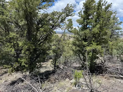 tbd 33rd, Cotopaxi, CO 81223 photo 10