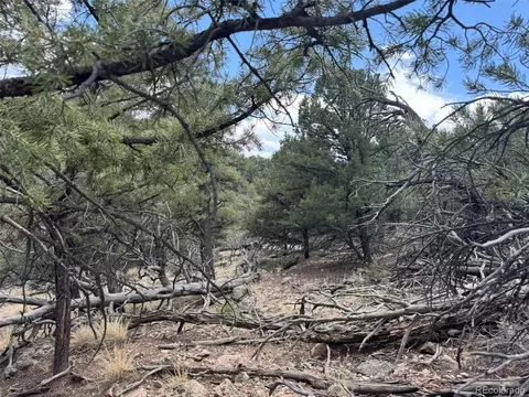 tbd 33rd, Cotopaxi, CO 81223 photo 10