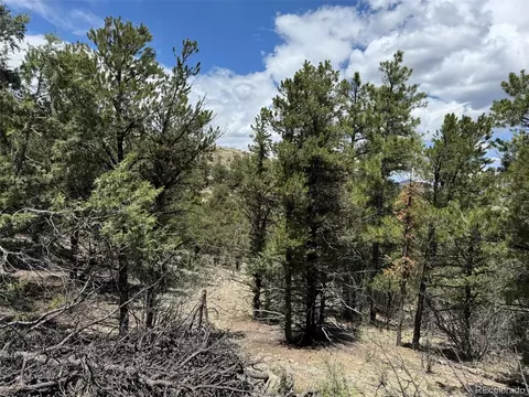 tbd 33rd, Cotopaxi, CO 81223 photo 5