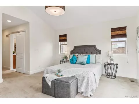 8623 E 55th Ave, Denver, CO 80238 photo 17