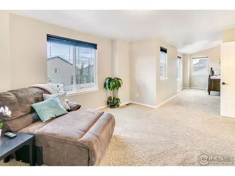 6420 Cloudburst Ave, Timnath, CO 80547 photo 25