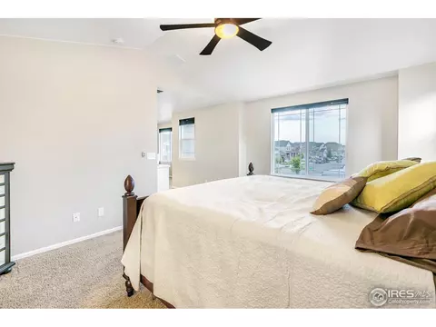 6420 Cloudburst Ave, Timnath, CO 80547 photo 29