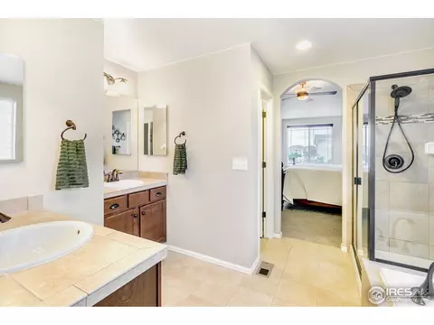 6420 Cloudburst Ave, Timnath, CO 80547 photo 31