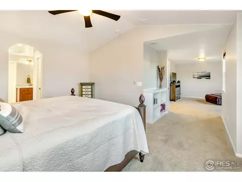 6420 Cloudburst Ave, Timnath, CO 80547 photo 28